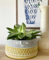 Cole Plant Pots