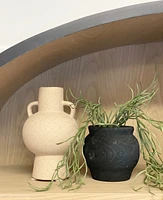 Paxton Vases