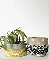 Cole Plant Pots