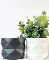 Geo Plant Pots