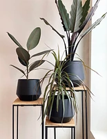 Plant Pedestals