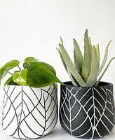 Embossed Leaf Pots