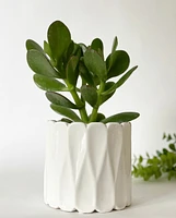 Cannes Plant Pot