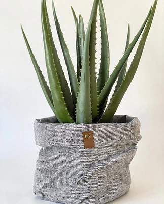 Frankie Fabric Plant Cozy