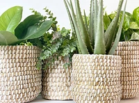 Tejida Basket Planter