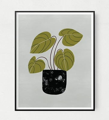 Peperomia Art Print