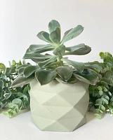 Geo Plant Pots