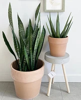 Calima Plant Pot