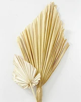 Dried Palm Leaf -Natural