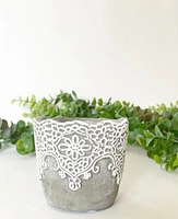 Lace Plant Pot