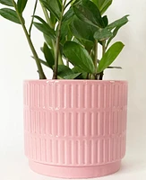 Dolo Plant Pots