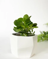 Helen Geo Plant Pot