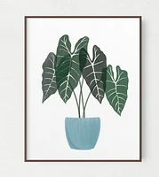 Alocasia Art Print