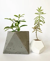 Edgy Cement Pots