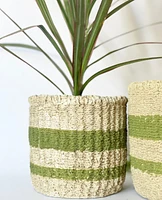 Juno Plant Pots