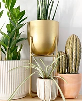 Leela Plant Pot