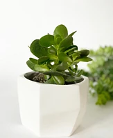 Helen Geo Plant Pot