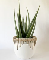 Hideaway Planter