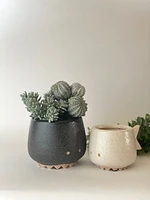 Fishy Plant Pots