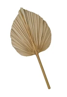 Dried Palm Leaf -Large