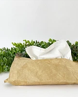 Tissue Pouch