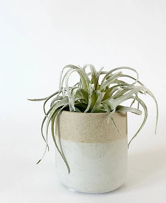 Jeni Mini Plant Pot