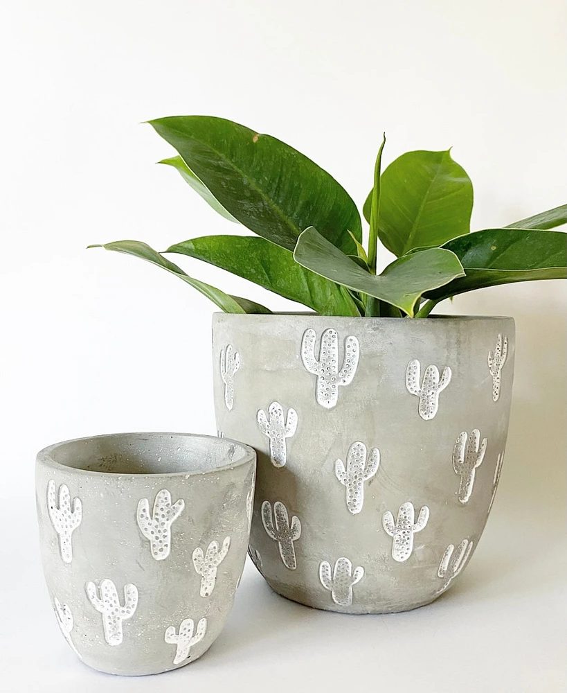 Cement Cactus Plant Pots