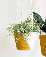 Hanging Plant Baskets