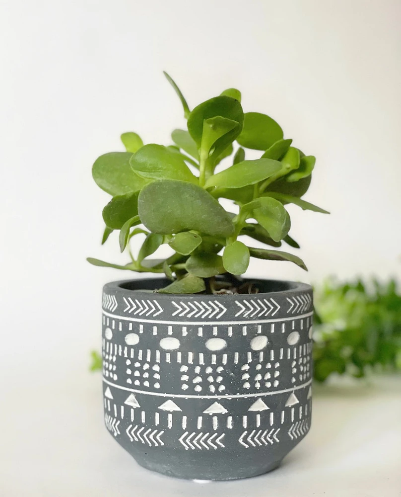 Ganon Plant Pot