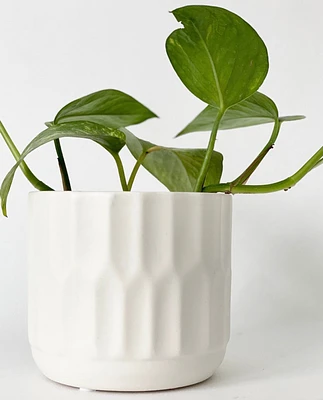 Denmark Plant Pot