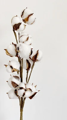 Faux Cotton Stem