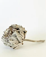 Dried Artichokes - Grey