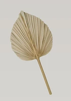 Dried Palm Leaf -Large