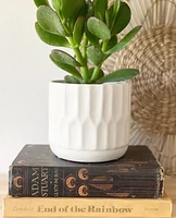 Denmark Plant Pot