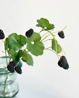 Summer Berry Picks