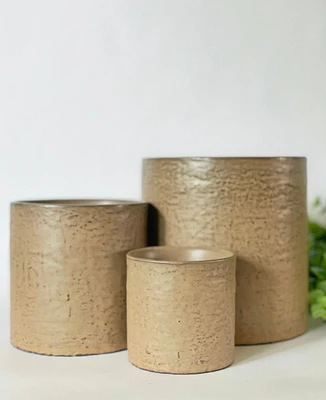 Apricot Plant Pots