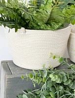 Hanging Plant Baskets