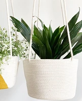 Hanging Plant Baskets