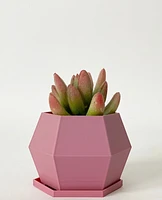 Sijo Plant Pot -Mini Hexagon