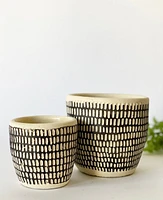 Ranch Plant Pot Collection