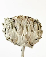 Dried Artichokes - Grey