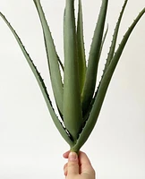 Aloe Spray