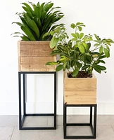 Lined Boxed Planters