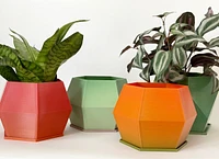 Sijo Plant Pots -Red