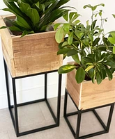 Lined Boxed Planters