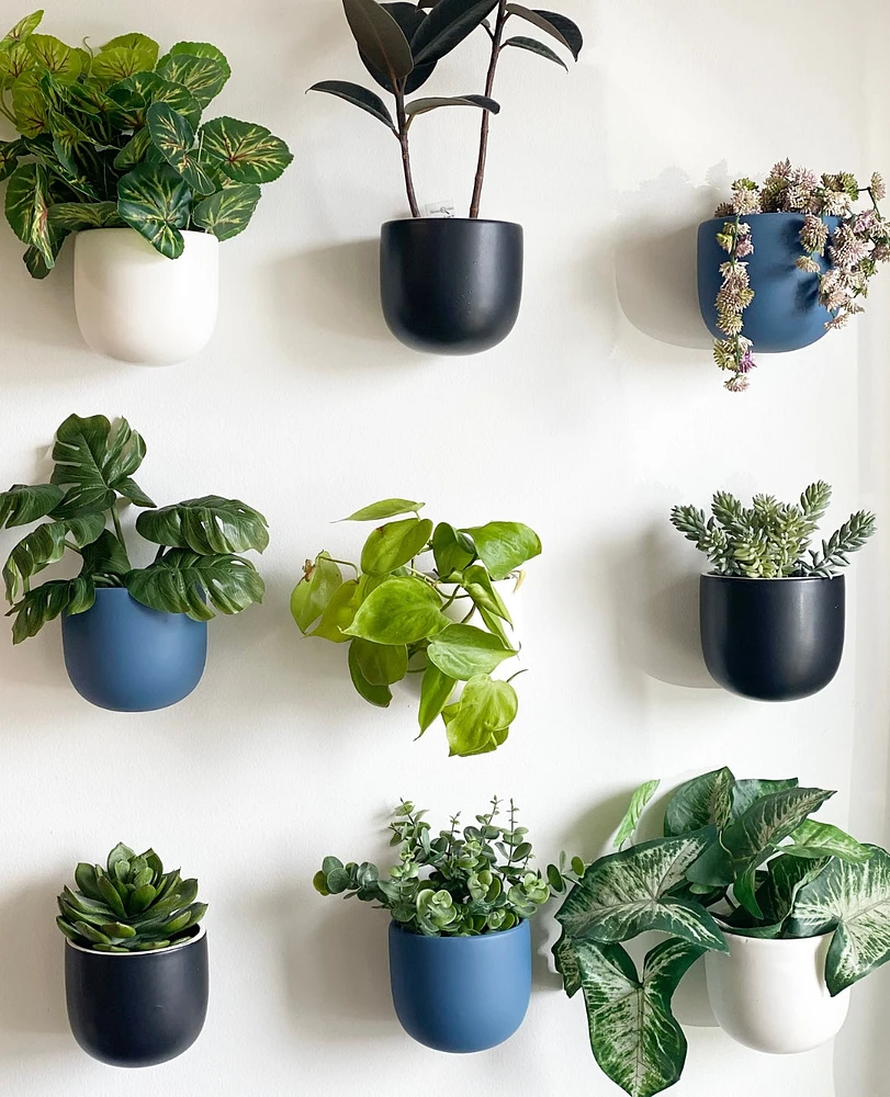 Dome Wall Planters