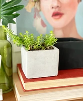 Mini Cement Squared Pot