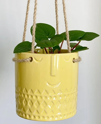 Happy Hanging Planter