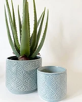 Peacock Plant Pots