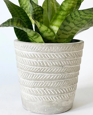 Cori Plant Pot